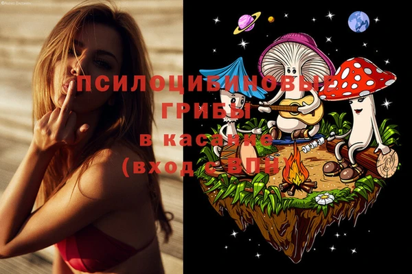 тгк Верея