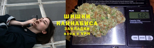 тгк Верея