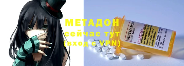 прущие грибы Рославль